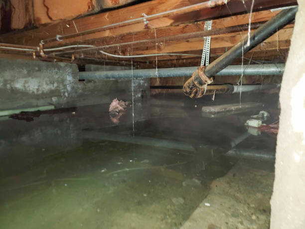 Best Commercial water damage restoration  in Konterra, MD