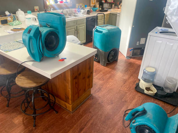 Best Water damage cleanup near me  in Konterra, MD