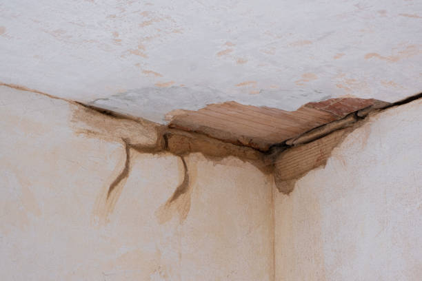 Best Basement water damage restoration  in Konterra, MD